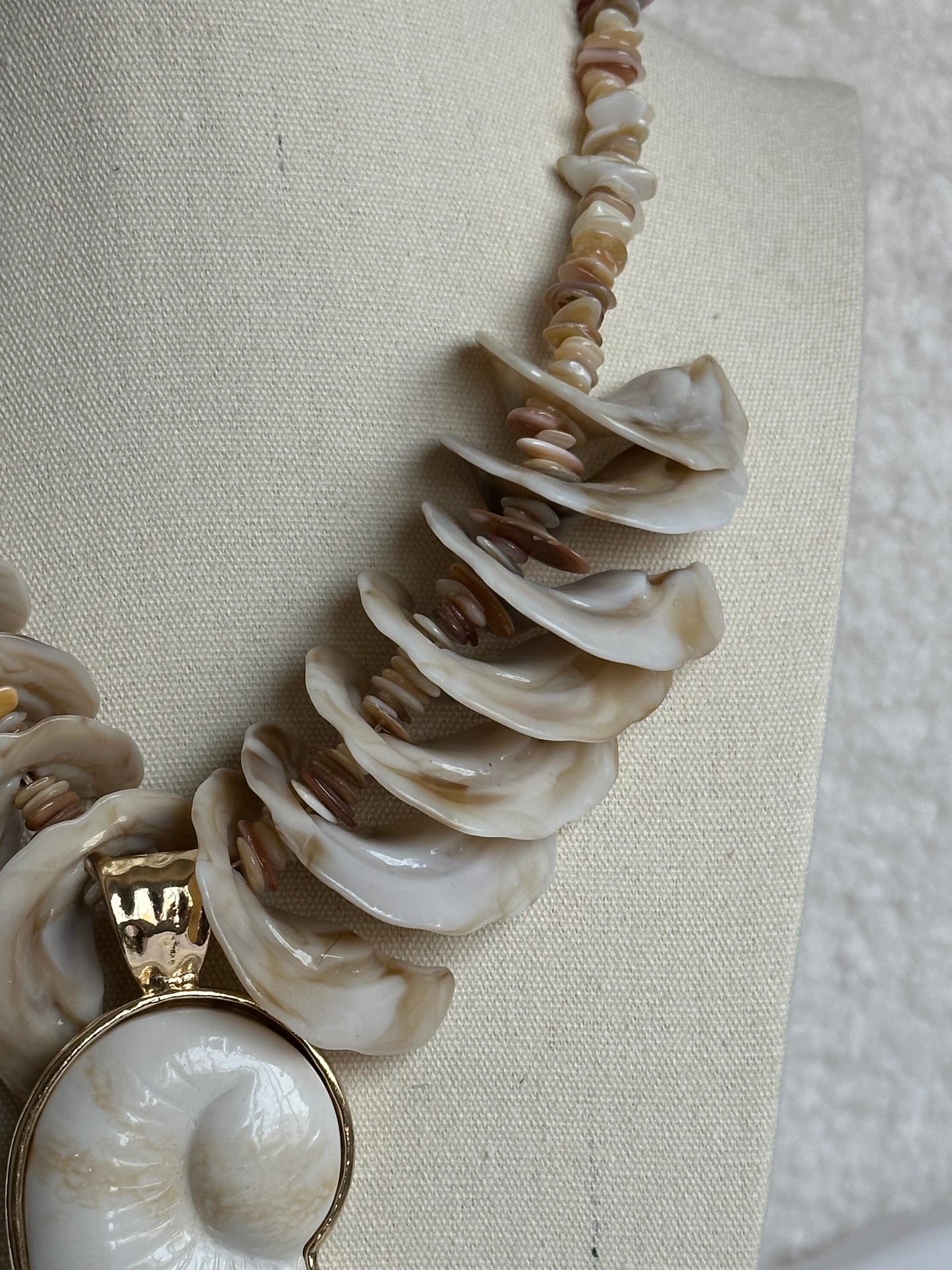 COLLAR CARACOLA CONCHAS