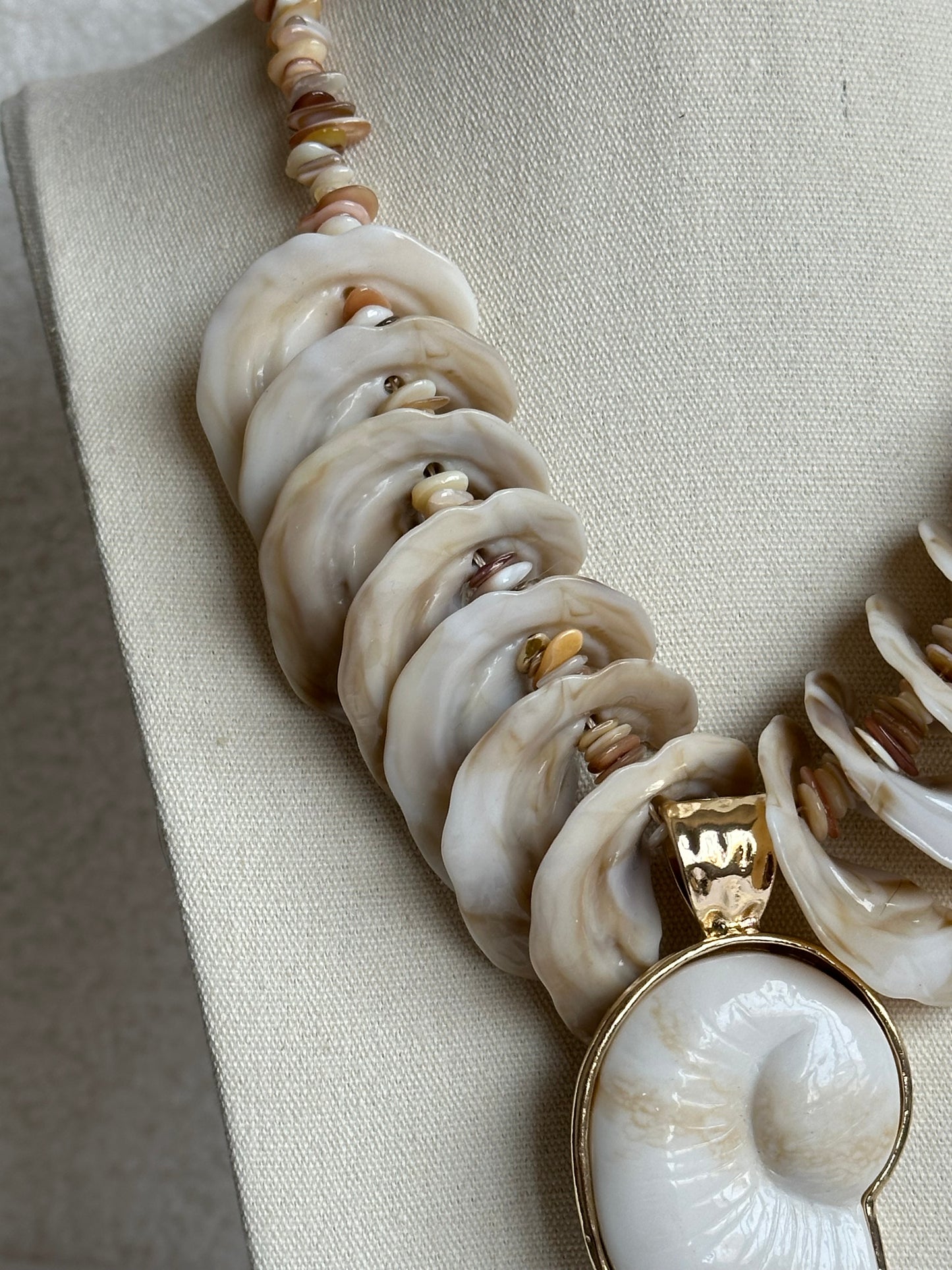 COLLAR CARACOLA CONCHAS
