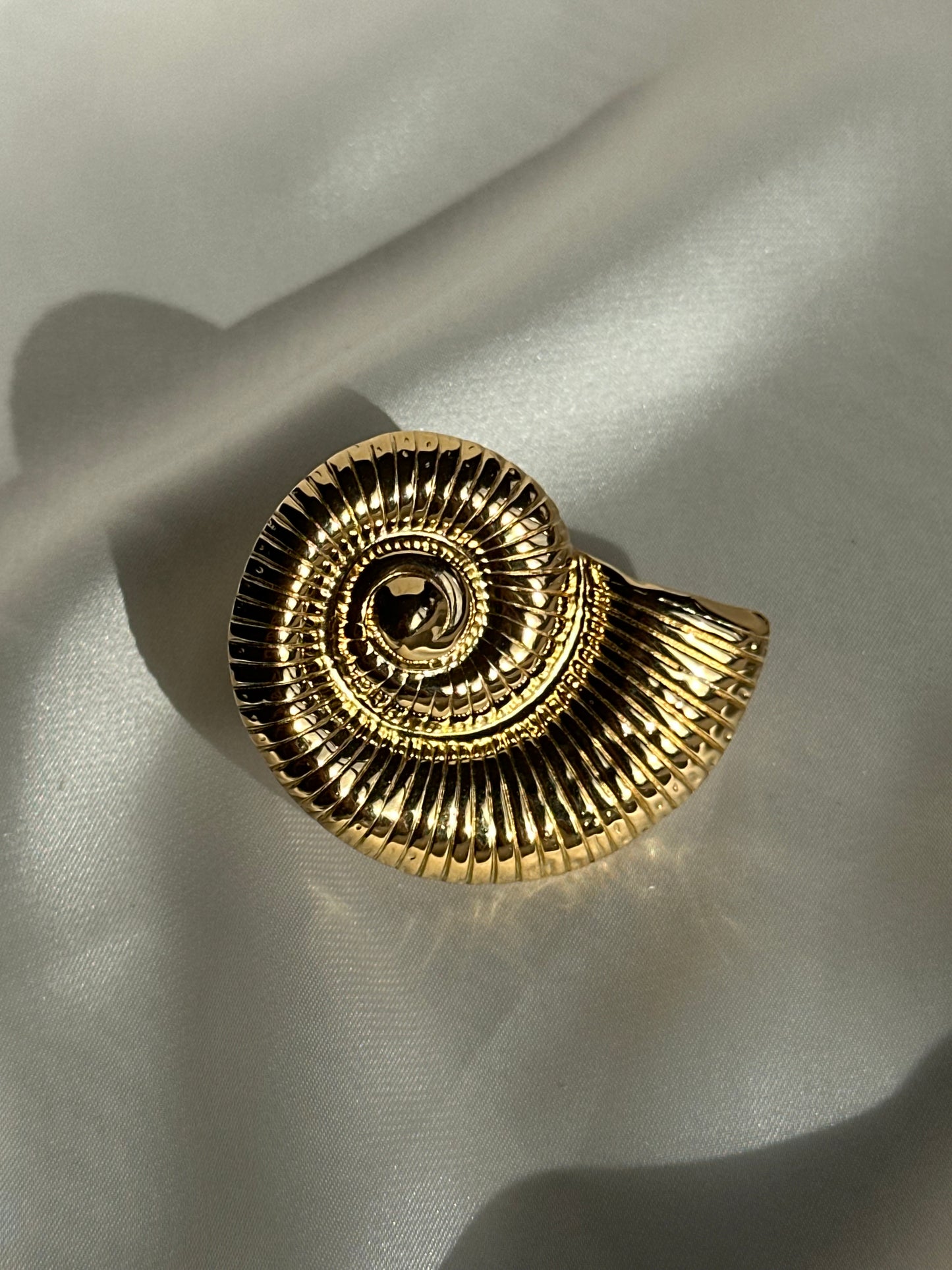 ANILLO CARACOLA
