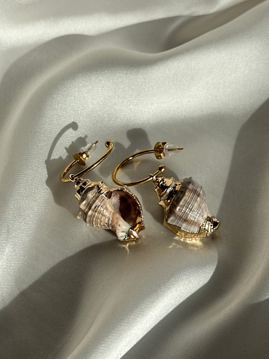 AROS CARACOLA