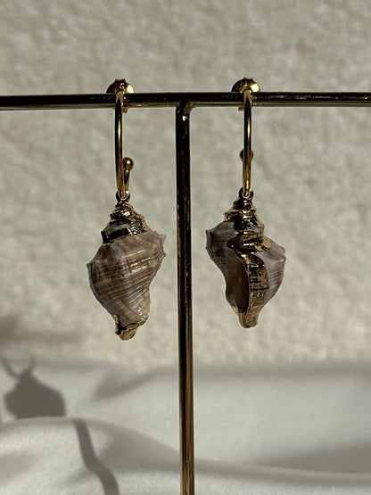 AROS CARACOLA