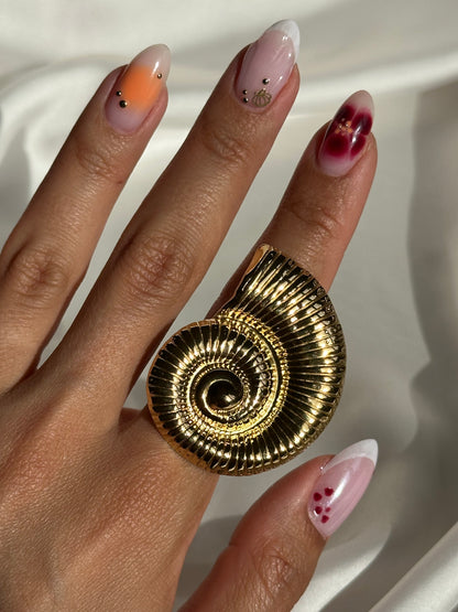 ANILLO CARACOLA