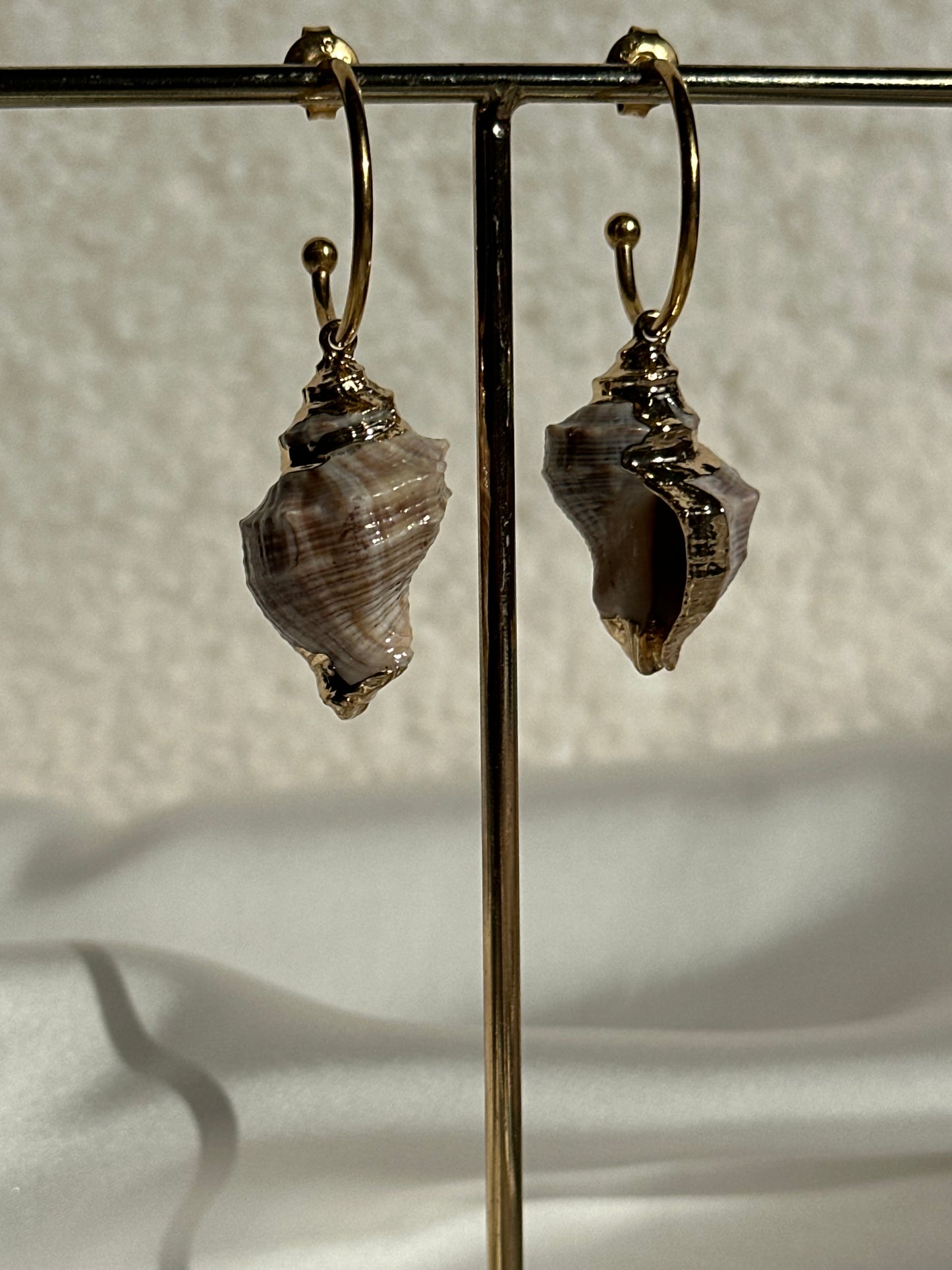 AROS CARACOLA