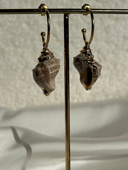 AROS CARACOLA