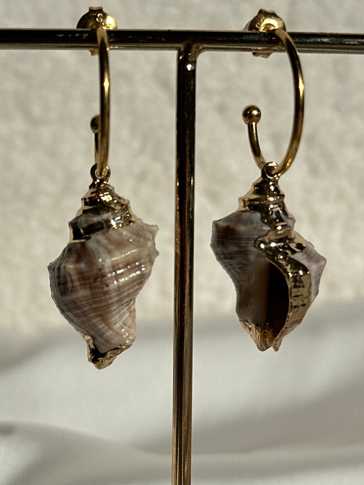 AROS CARACOLA