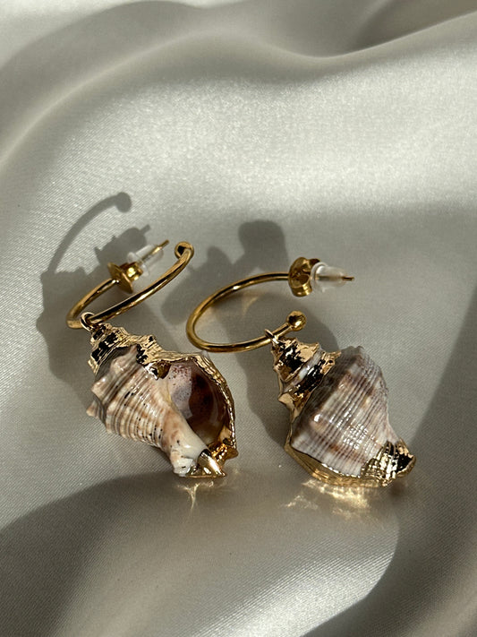 AROS CARACOLA