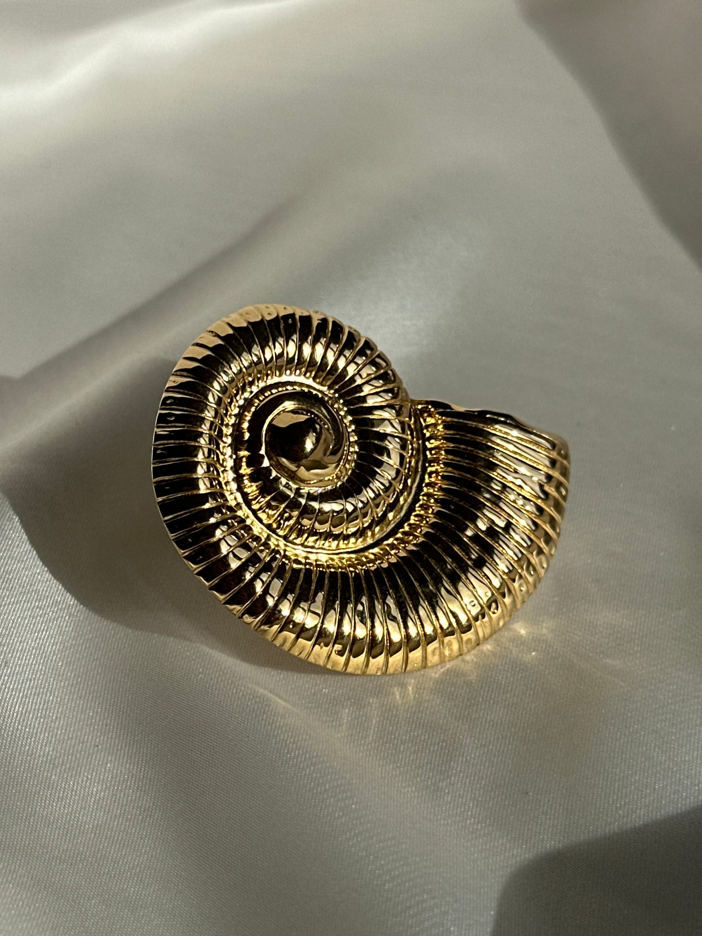 ANILLO CARACOLA