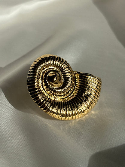 ANILLO CARACOLA